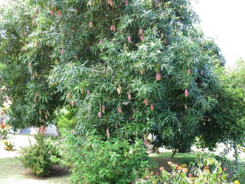 مبيت وإفطار بيل أومبغْ دانييلاز بانغلوز المظهر الخارجي الصورة